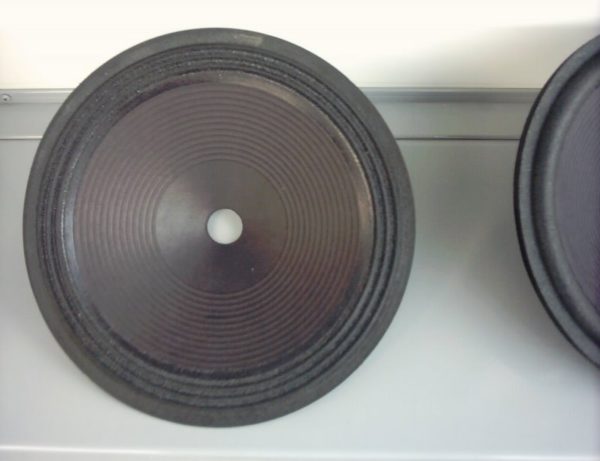 250 mm  Speaker cone                 MT 10