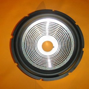 300 mm  Speaker cone  CR23