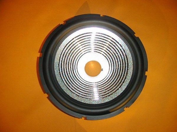 300 mm  Speaker cone  CR23